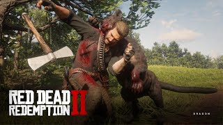 How to Find and Kill The Legendary Panther In Red Dead Redemption 2 [upl. by Byler109]