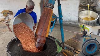 Whole Process of Traditional Peanut Oil Extraction  Wood Pressed Oil Extraction [upl. by Aissila988]