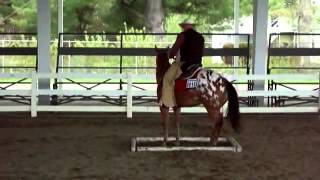 Appaloosa Horse Event Videos [upl. by Ffilc]