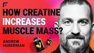 How amp When To Take Creatine For Muscle Growth  Nutritionist Explains  Myprotein [upl. by Rramo]