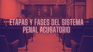 ETAPAS Y FASES DEL SISTEMA PENAL ACUSATORIO [upl. by Oad]