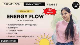 Energy Flow in an Ecosystem🌳Trophic levelsLaw of thermodynamicsBSc 6th Sem BOTANY unit 2 [upl. by Weihs]