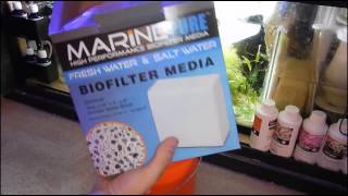 How amp Why Im Adding More Marine Pure To My Sump  Reef Tank [upl. by Yuh677]