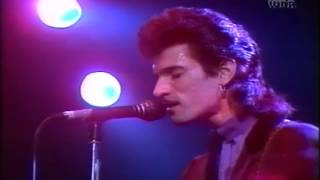 Willy DeVille Mink DeVille  Full Concert Live 1981 Rockpalast in Essen Germany [upl. by Mayworm]