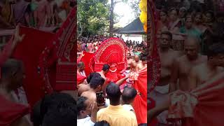 Theyyam kannur thalassery muthappan travel hindufestival aanayoottu keralafestival love [upl. by Ahsia]