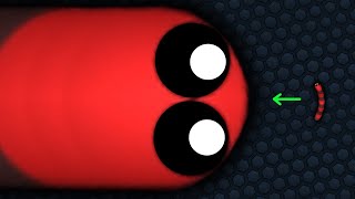 Slitherio Tiny Snake Becomes Giant  Epic Slitherio Gameplay [upl. by Gutow]