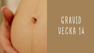 Gravid vecka 14 [upl. by Santa85]