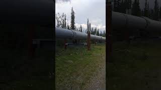 TransAlaskaPipeline Glennallen AK alaska pipeline [upl. by Paige938]