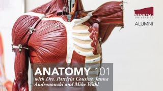 Anatomy 101 [upl. by Oleg]