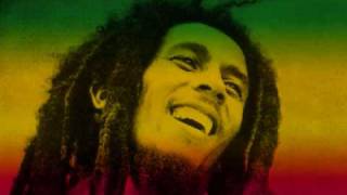 Bob Marley Three Little Birds With Lyrics [upl. by Hartzell]