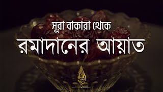 Beautiful Quran Tilawat Surah Baqarah 183187  Ayah Of Ramadan  সূরা আল বাকারা। Sheikh Masud [upl. by Lawtun]