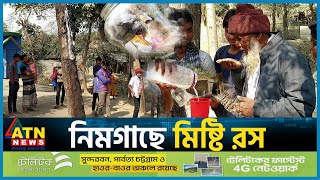 নিমগাছে মিষ্টি রস  Chapai Nawabganj  Sweet Juice  Neem Tree  National News  ATN News [upl. by Saxe]