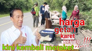 harga karet kering kembali naik di tingkat petani [upl. by Cherilynn226]