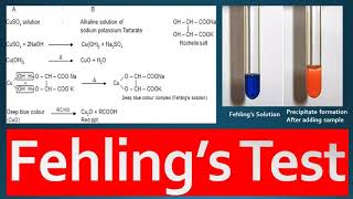 Fehlings Test Principle Procedure and Reagent Preparation [upl. by Notnilc]