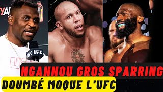 Ngannou voulait se venge en sparring Doumbé se moque des Français à lUFC [upl. by Arayt]