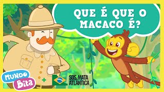 Mundo Bita  Que é que o Macaco é [upl. by Rotow]