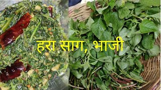 हरी भाजी साग नौरपा हरी भाजी Simple Healthy And Very Tastyfood cookingsaag recipy healthy [upl. by Aliehc]