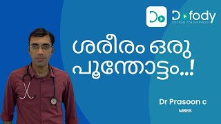 പ്രോബയോട്ടിക് എന്താണ് 💊 Did You Know THIS About Probiotic Is Prebiotic Different 🩺 Malayalam [upl. by Eliathas734]