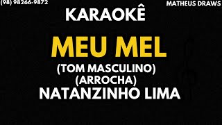 KARAOKÊ MEU MEL  TOM MASCULINO RITMO ARROCHA NATANZINHO LIMA [upl. by Odragde]