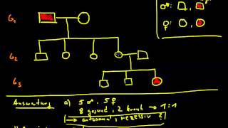 klassische Genetik 06  Stammbaumanalyse [upl. by Verras564]