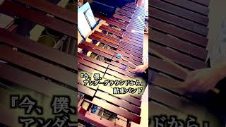 『今、僕、アンダーグラウンドから』 結束バンド 【劇場総集編ぼっち・ざ・ろっくRe】 Marimba Solo Cover【毎日投稿】shorts marimba music [upl. by Madaras]