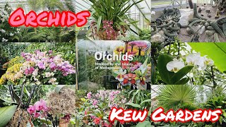 ORCHIDS EXHIBITION AT KEW GARDENS LONDON kewgardens trending orchid exhibition fypシ vlog [upl. by Anilemrac]