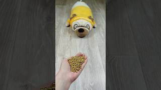 Dog 🐶 Beads 🟡 Reverse video marblerunandmore reversevideo [upl. by Anyr]