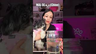 Mal De 👁️ Chloe Pt 1 AlbaDubai Vídeo de TikTok [upl. by Herzen]