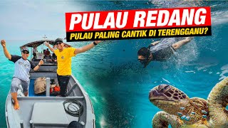 Menyelam dengan Penyu di Taman Laut Pulau Redang [upl. by Whitehurst]