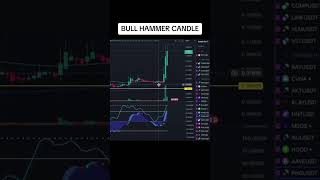 Bull Hammer Candle 📈 tradingstrategy tradingview overkilltrading bitcoin cryptocurrency [upl. by Damaris607]