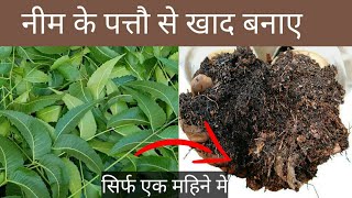 नीम की पत्तियों से बनाए खाद। neem leaf mold at Home Neem ki khad kaise banaye [upl. by Hallagan]