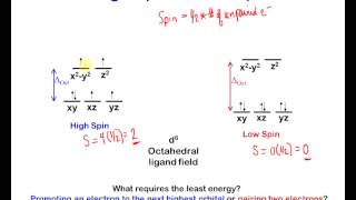 stability of transition metal complexes 1 [upl. by Hodosh]