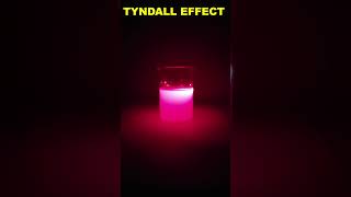 Tyndall Effect shorts [upl. by Norted]