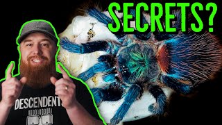 5 Things I Wish I Knew BEFORE Getting A Pet Tarantula [upl. by Warwick]