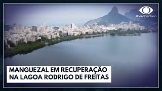 O que FAZER na LAGOA RODRIGO DE FREITAS Dicas de quem foi mais de 100X  Viciada em Viajar [upl. by Teplitz]