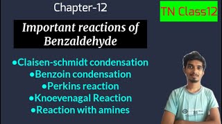 Important reactions of BenzaldehydeChapter12ChemistryTN Class12 [upl. by Campball]