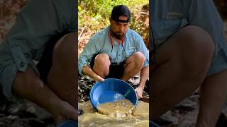 Panning For Gold Finding Gold Deposits in Bedrock Cracks [upl. by Lyssa]