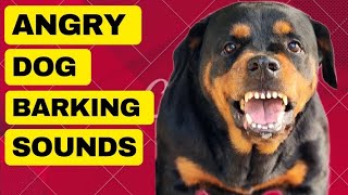 Aggressive Dog barking Compilation See How Your Dogs REACTS [upl. by Ednil]