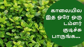 காலையில இத ஒரே ஒரு டம்ளர் குடிச்சு பாருங்க  Thyme Tea Benefits [upl. by Itsirhc]