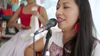 Zapata se Queda  Lila Downs Cover Official Conjuto Bruja Video [upl. by Emorej997]