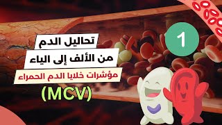 مؤشرات خلايا الدم الحمراء MCV  تحليل الدم الشامل 🩸🔬 [upl. by Genaro72]