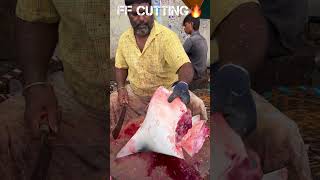 KASIMEDU 🔥 MIMNAL RAJA BLACK RAY FISH CUTTING VIDEO kasimeduraja fishcutting youtubeshorts [upl. by Alegnaed]