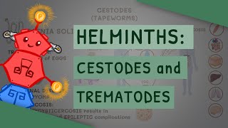 Helminths Cestodes and Trematodes transmission clinical importance and treatment [upl. by Maffa310]