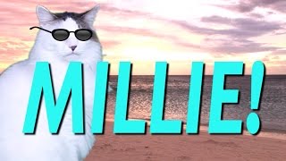 HAPPY BIRTHDAY MILLIE  EPIC CAT Happy Birthday Song [upl. by Ailedo]