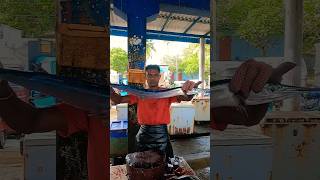 Omg Amazing gar Fish Cutting fishcutting shorts shortvideo [upl. by Sivatnod]