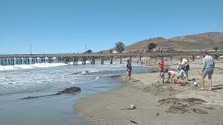 Cayucos Beach Stroll [upl. by Brandenburg]