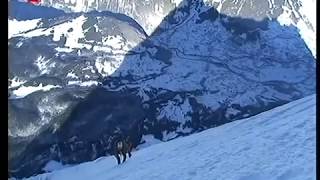 Ueli Steck Neuer Speed Rekord am Eiger [upl. by Ennaylime]