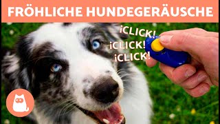 GERÄUSCHE die HUNDE LIEBEN 🐶🔊 Reagiert dein HUND auf diese GERÄUSCHE [upl. by Lavinia]