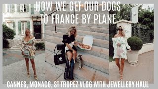 CANNES VLOG WHERE TO SHOPVISITEATSTAY  HOW WE TAKE OUR DOGS TO FRANCE [upl. by Schiff]