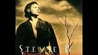 Stevie B  Waiting For Your Love [upl. by Lasiaf]